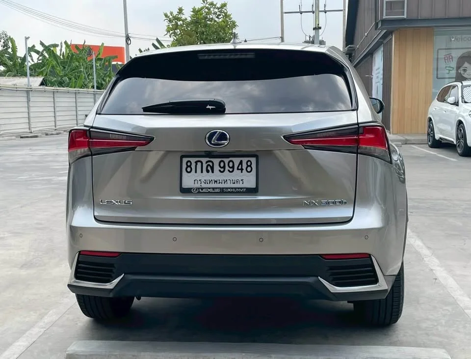 2019 Lexus NX I 2