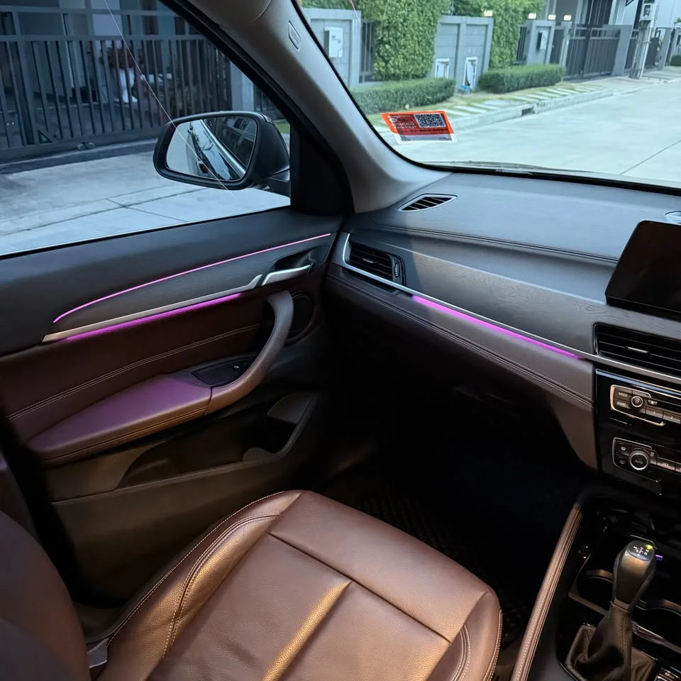 2020 BMW X1 F48, F49 2