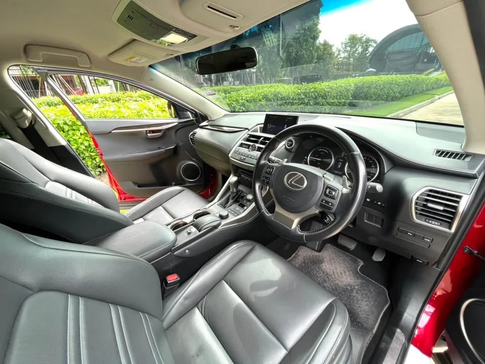 2016 Lexus NX I 2