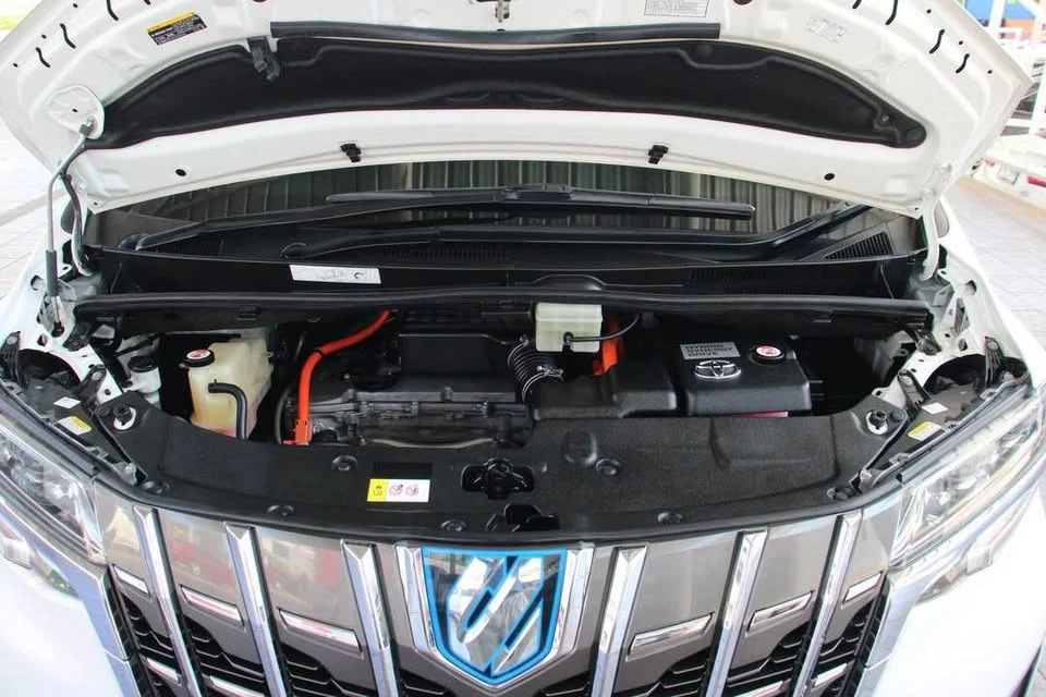 2019 Toyota Alphard, Vellfire III (AH30) 3