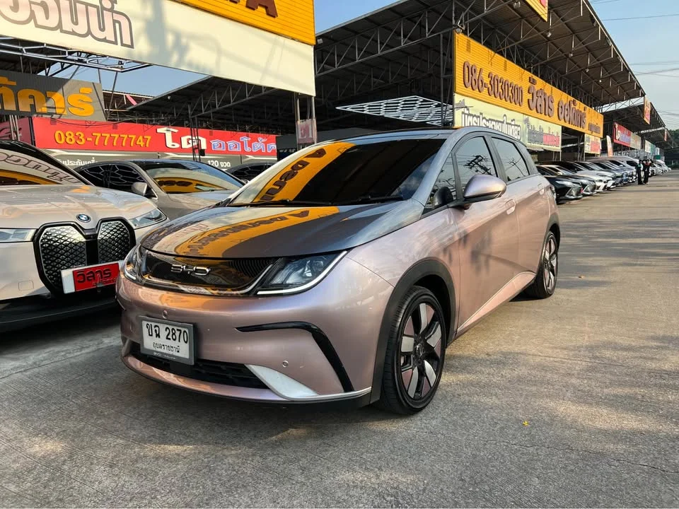 2024 BYD Dolphin 3