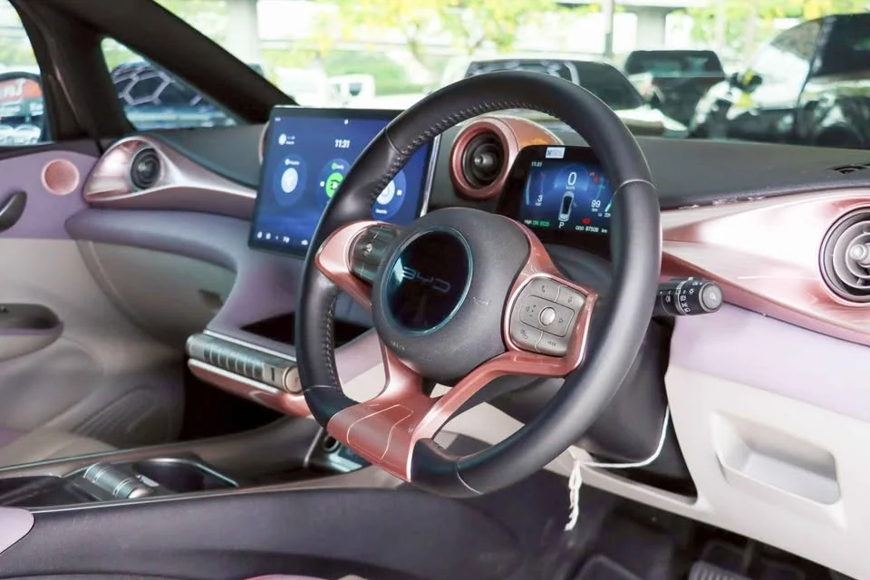 2024 BYD Dolphin 2