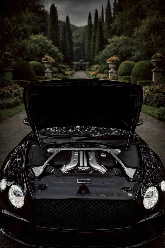 2020 Bentley Continental GT, GTC III 2
