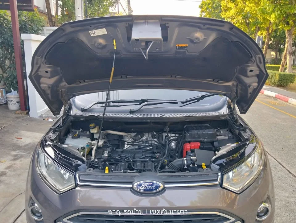 2014 Ford EcoSport II 2