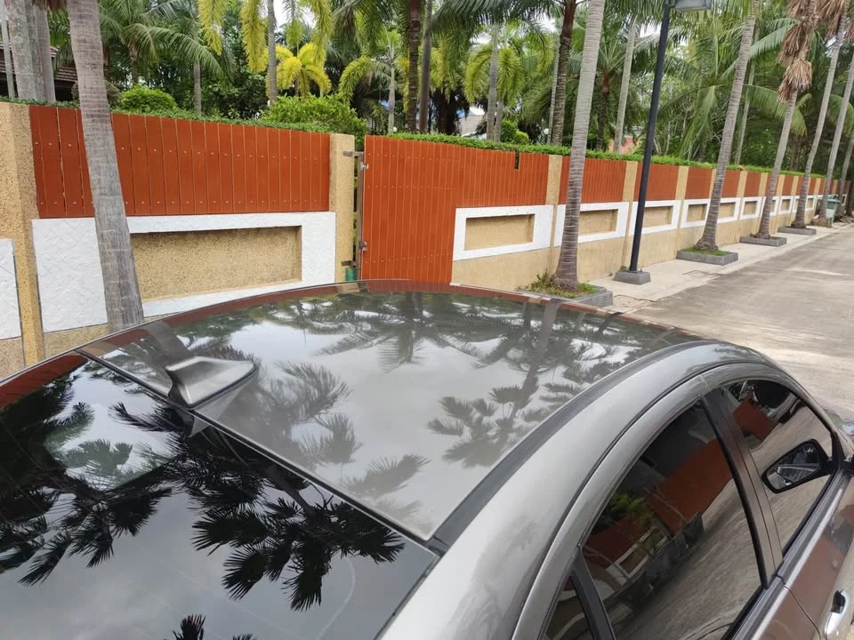 2011 Proton GEN-2 Persona CM 2