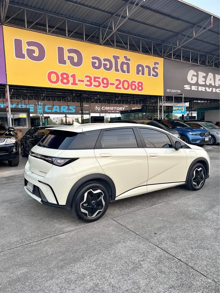 2024 BYD Dolphin 2