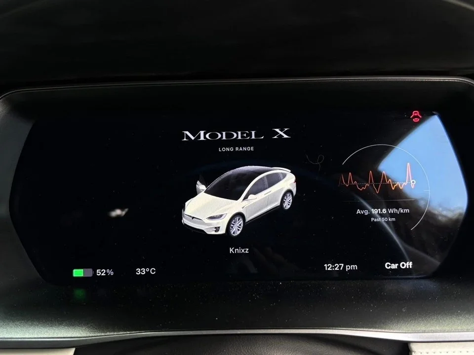 2021 Tesla Model X 3