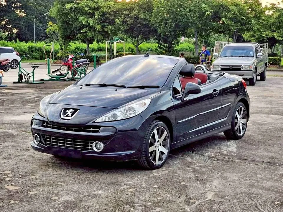 2008 Peugeot 207 2