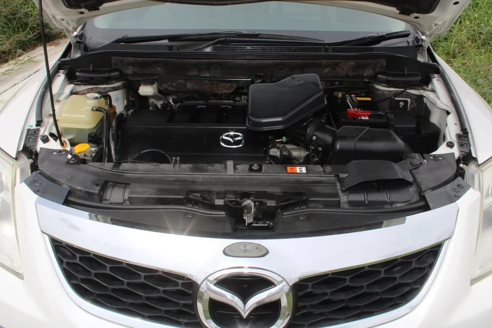 2009 Mazda CX-9 I 2