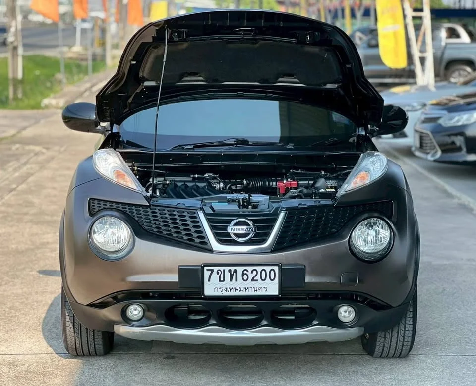 2014 Nissan Juke I (F15) 3