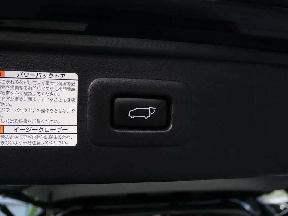 2019 Toyota Alphard, Vellfire III (AH30) 3