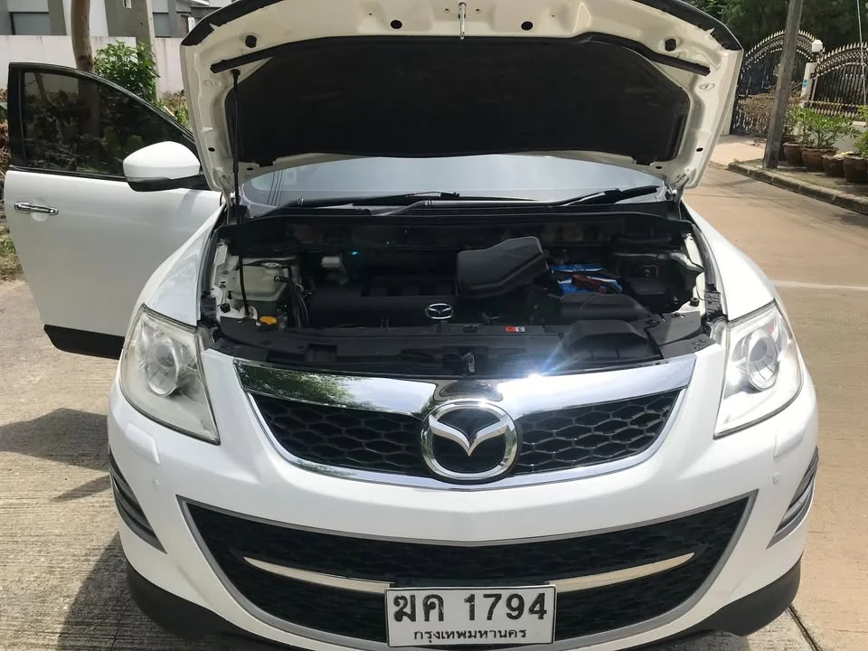 2010 Mazda CX-9 I 3