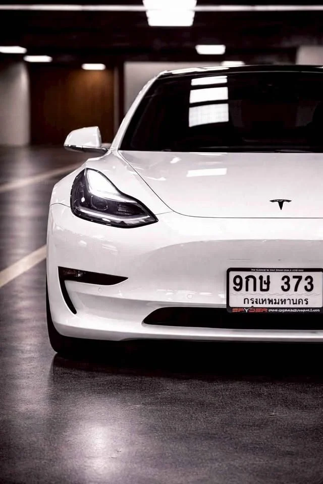2020 Tesla Model 3 3