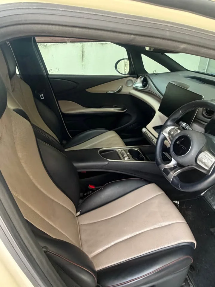 2023 BYD Dolphin 2