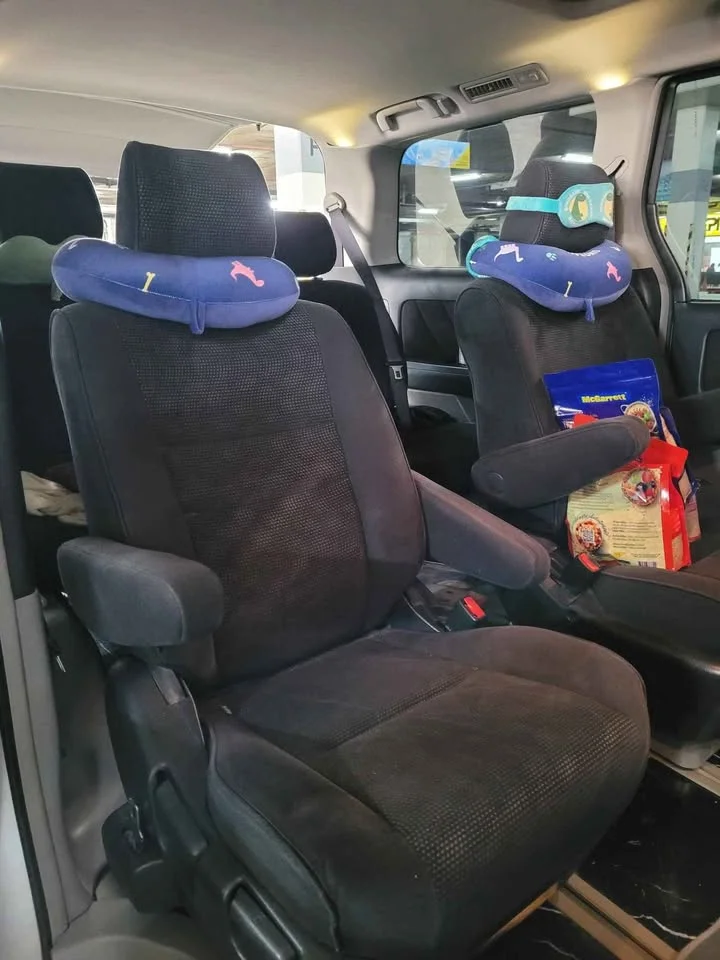 2004 Toyota Alphard, Vellfire I (AH10) 3