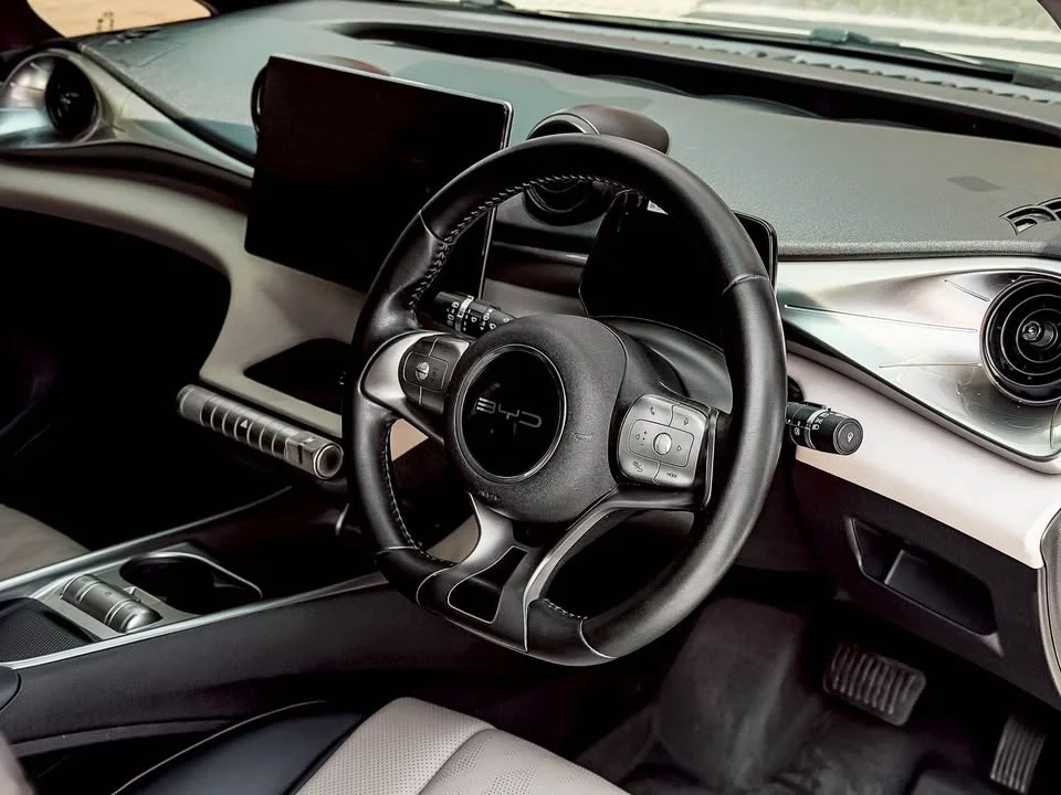 2023 BYD Dolphin 2