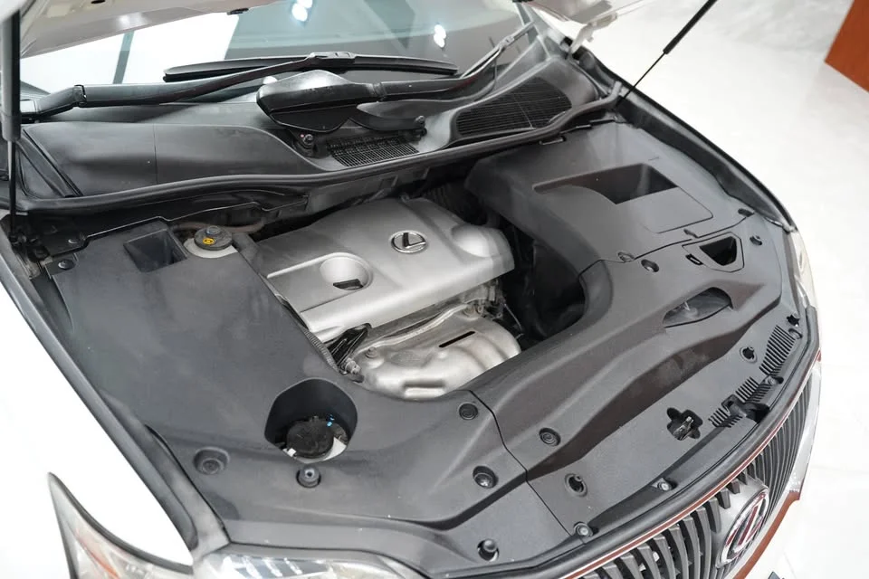 2010 Lexus RX III 2