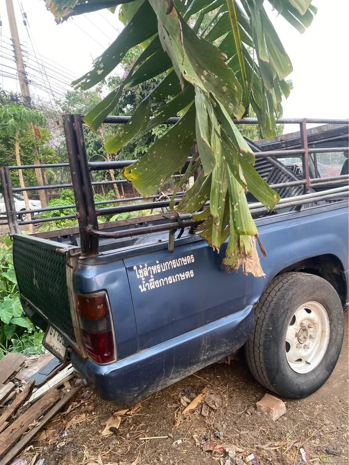 2005 Mitsubishi Triton II 2