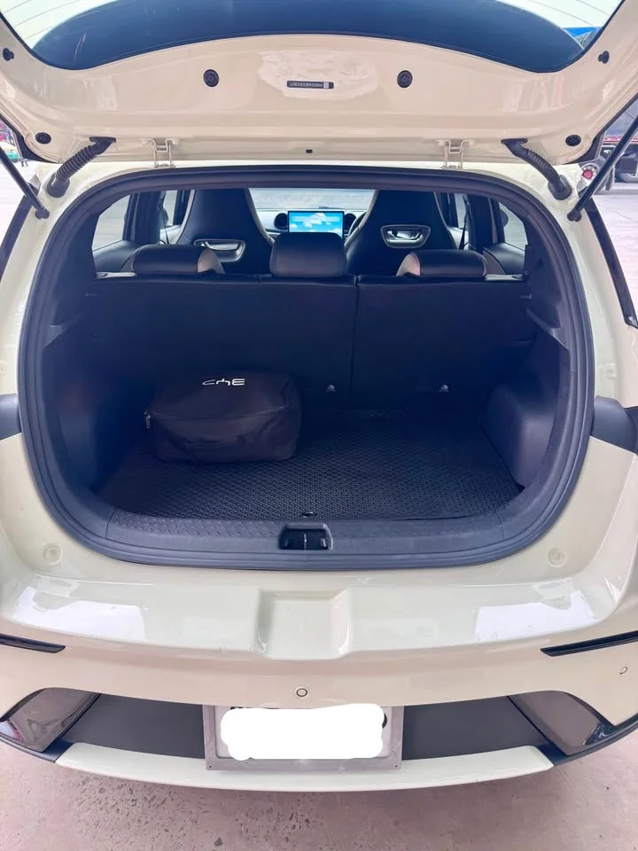 2023 BYD Dolphin 3