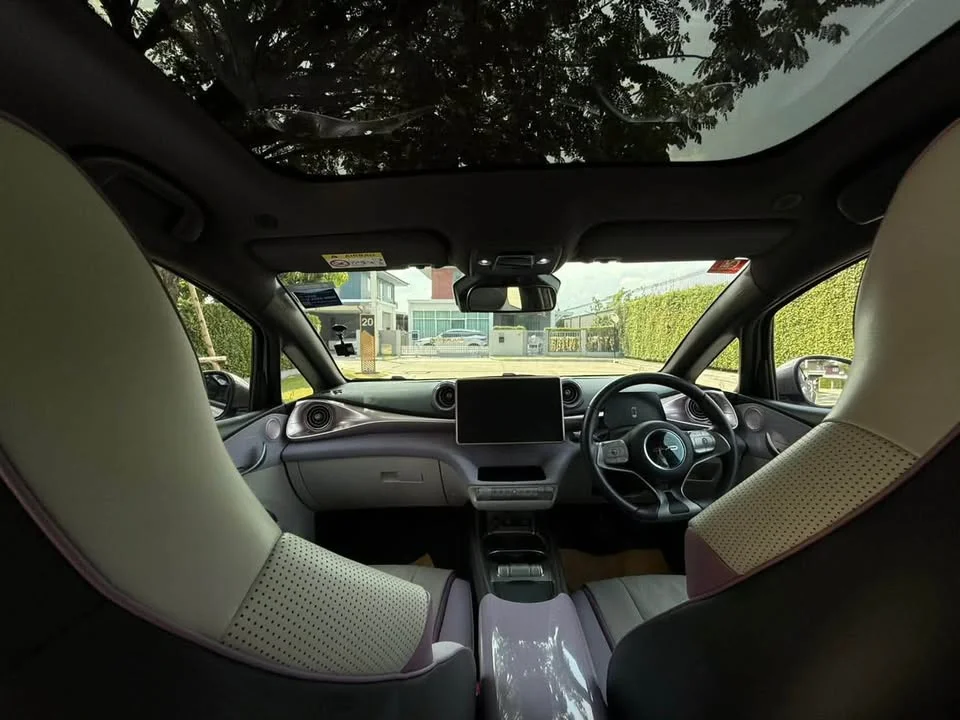 2024 BYD Dolphin 2