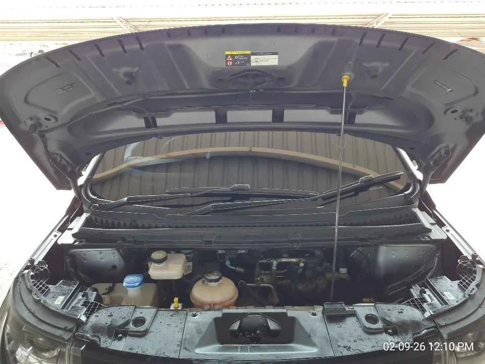 2023 BYD Dolphin 2