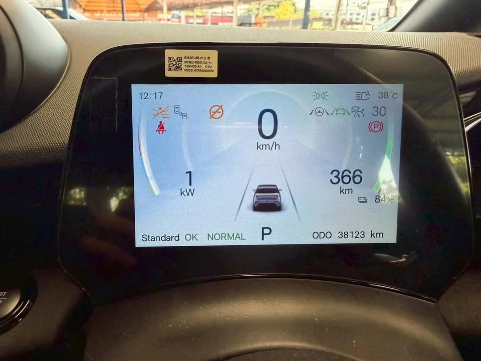 2024 BYD Dolphin 2