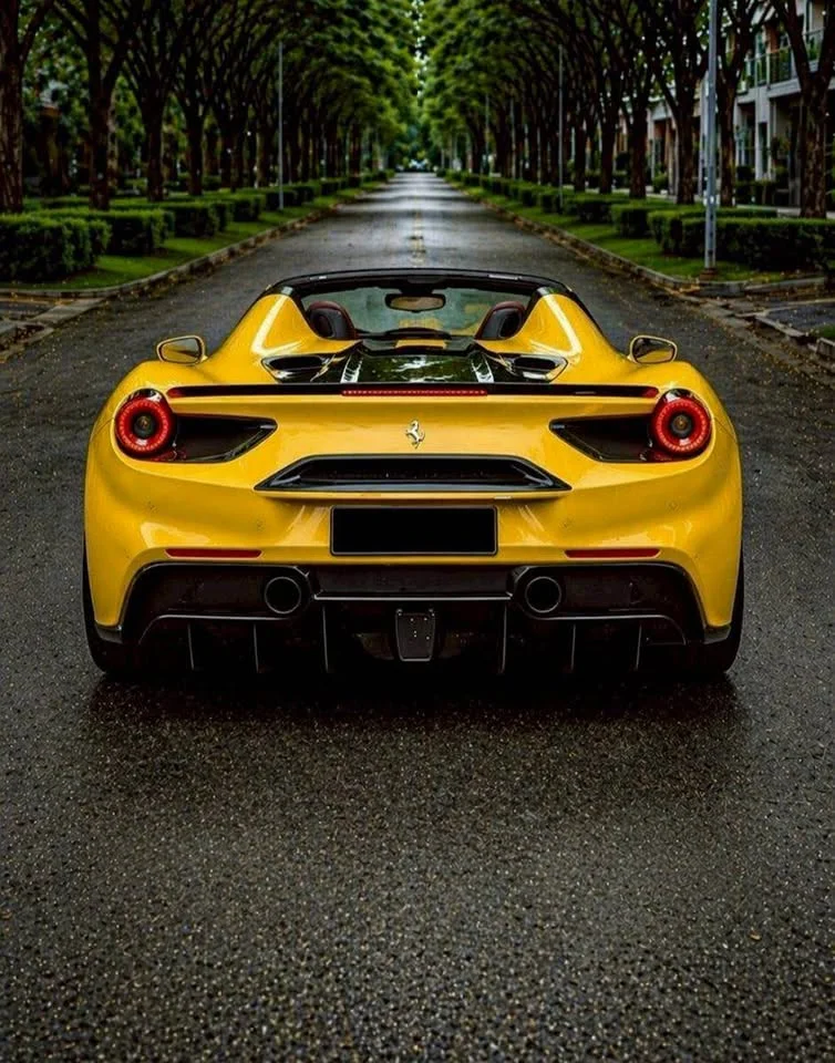 2019 Ferrari 488 3