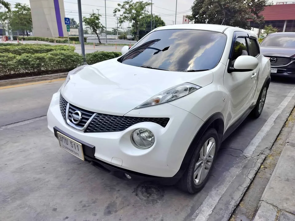 Nissan Juke I (F15) 2