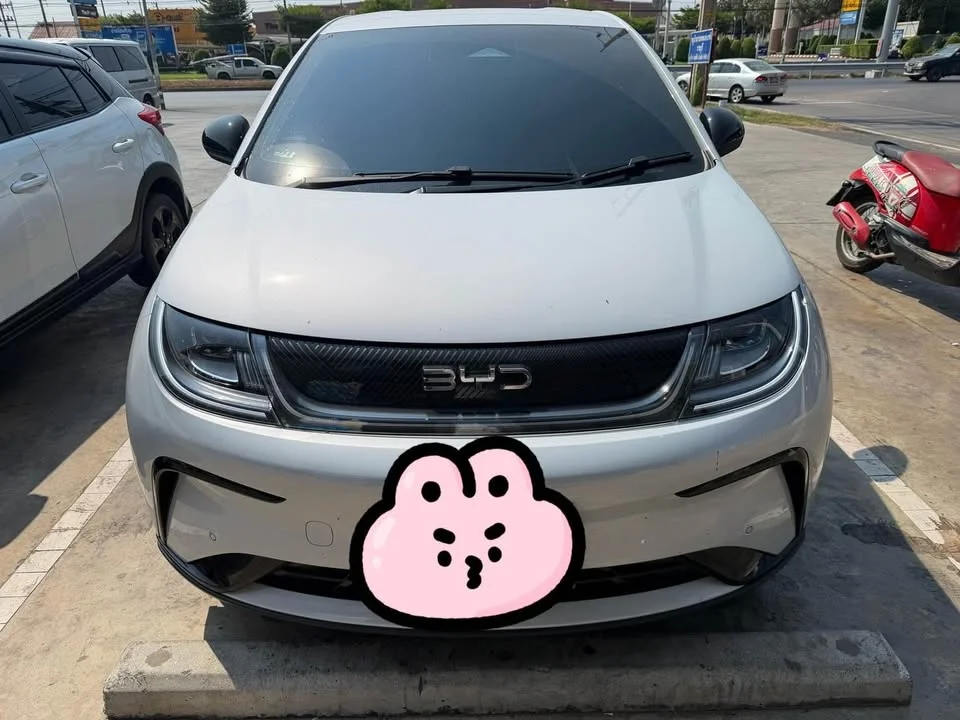 2025 BYD Dolphin 3