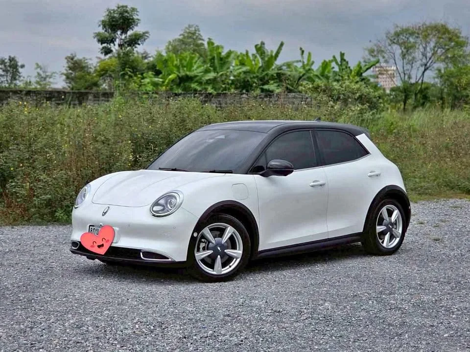 2022 GWM Ora Good Cat 2