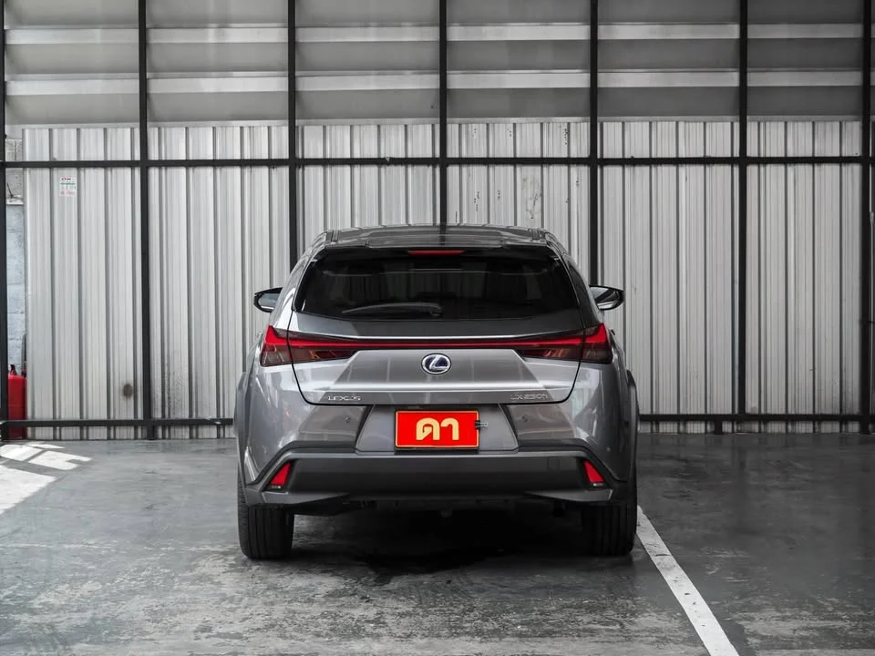 2021 Lexus UX ZA10 2