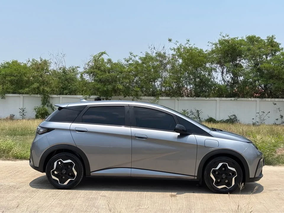 2023 BYD Dolphin 2