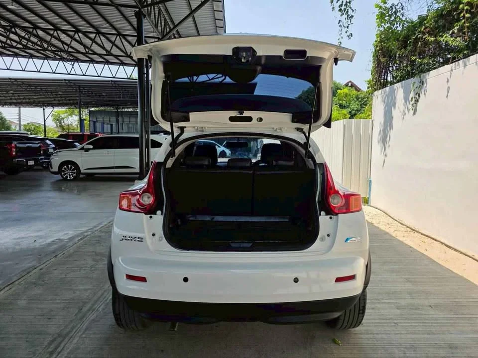 2014 Nissan Juke I (F15) 2
