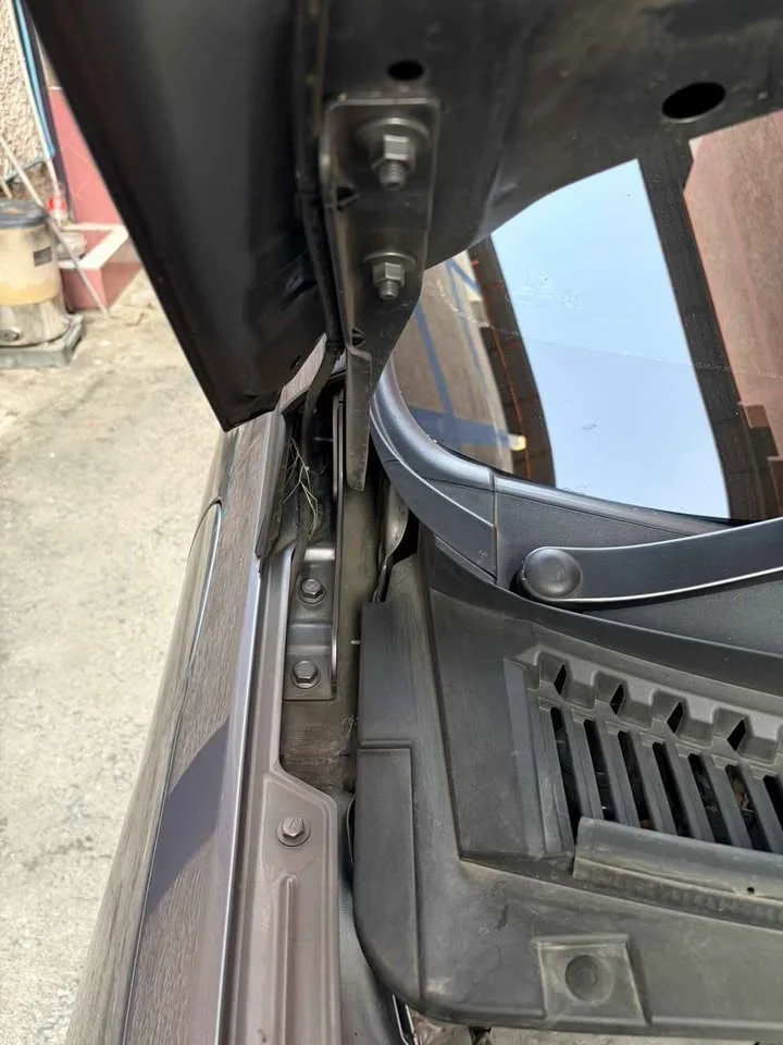 2023 BYD Dolphin 3