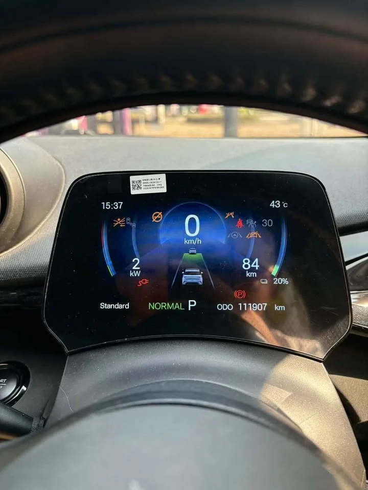 2023 BYD Dolphin 2