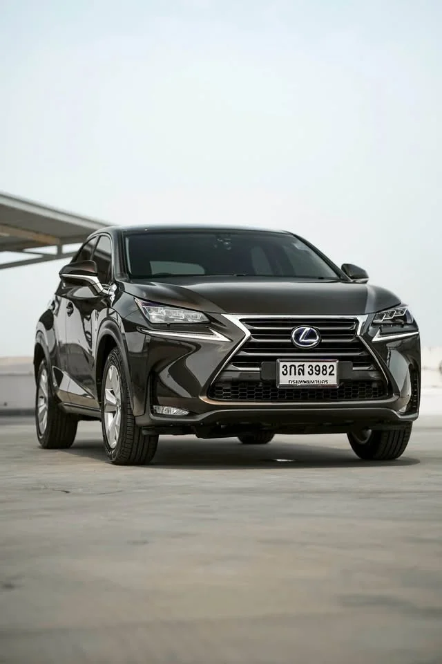 2014 Lexus NX I 3