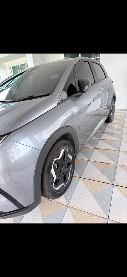 2025 BYD Dolphin 2