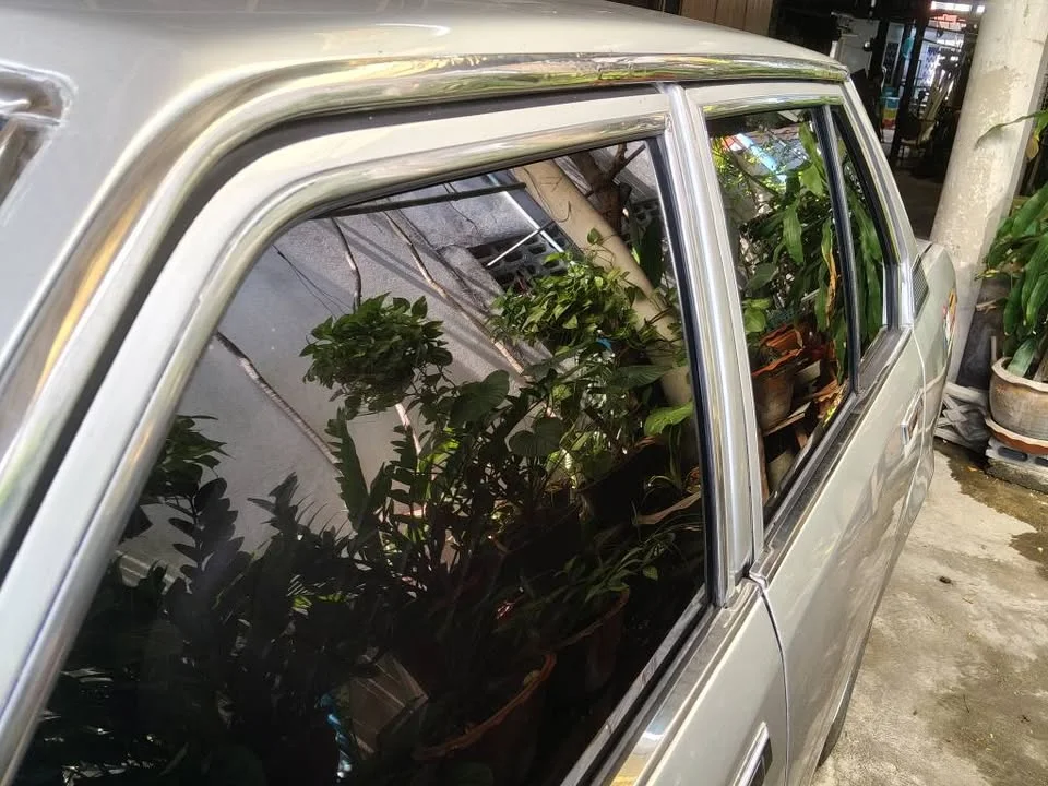1983 Audi Q6 2