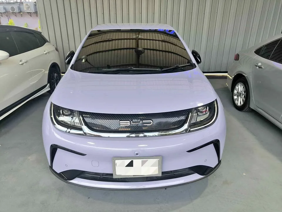 2023 BYD Dolphin 2