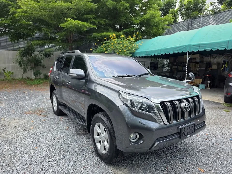 2010 Toyota Land Cruiser Prado J150 3