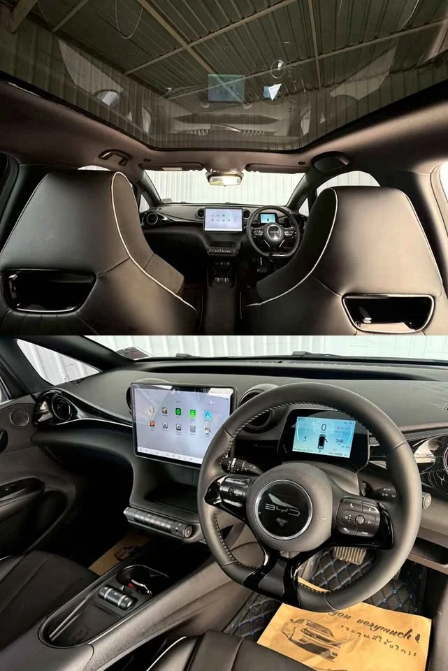 2024 BYD Dolphin 2