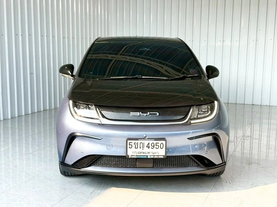 2024 BYD Dolphin 2