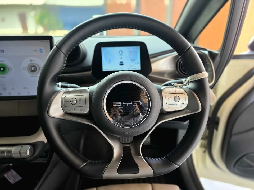 2024 BYD Dolphin 2