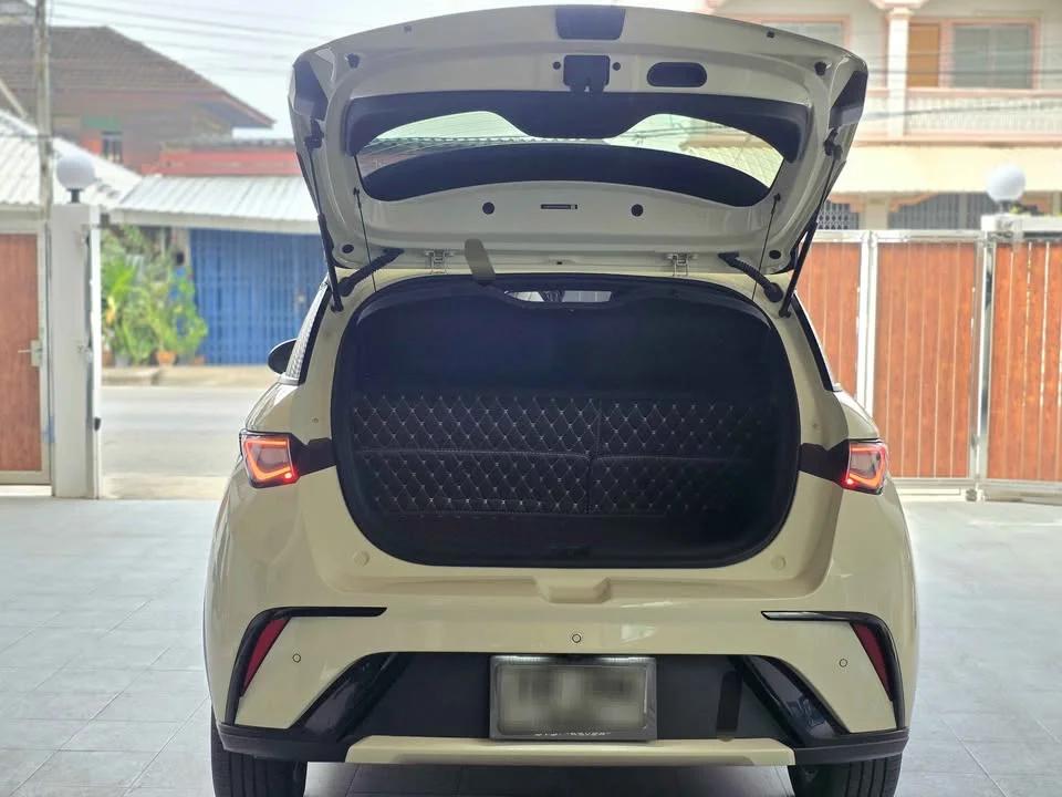 2024 BYD Dolphin 3