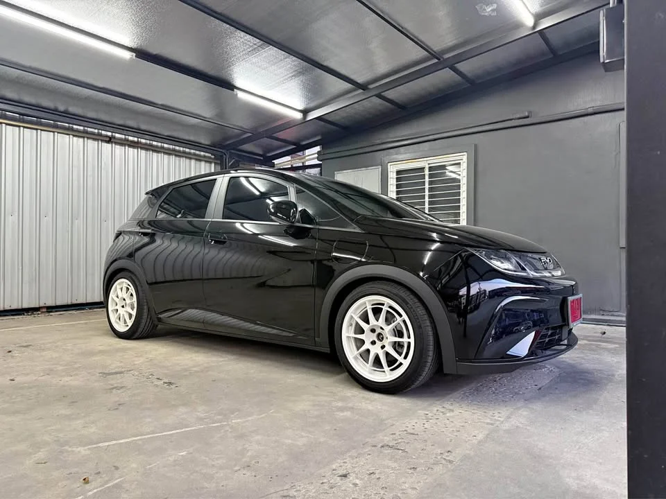 2026 BYD Dolphin 2