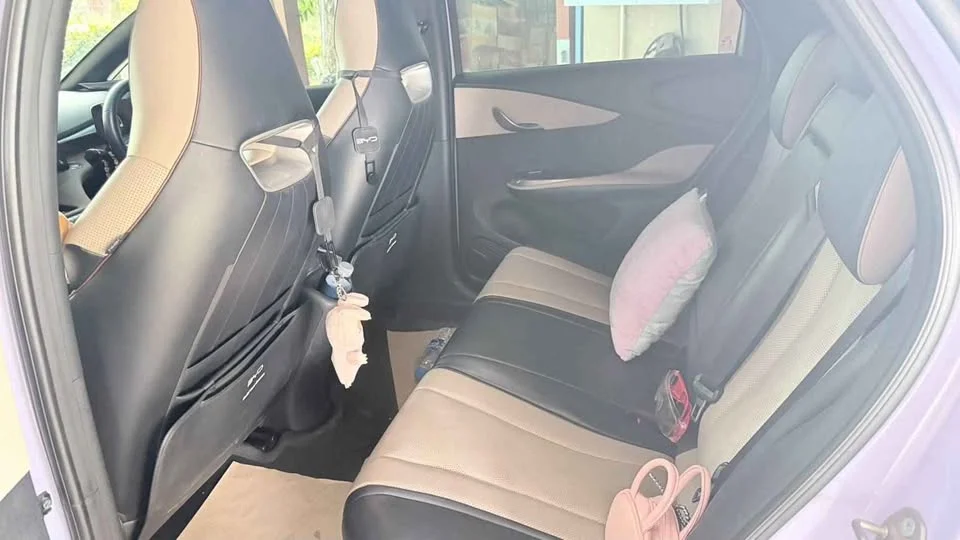 2024 BYD Dolphin 2