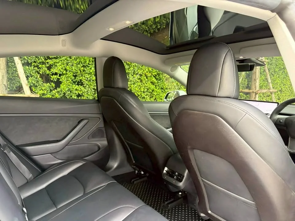 2020 Tesla Model 3 3