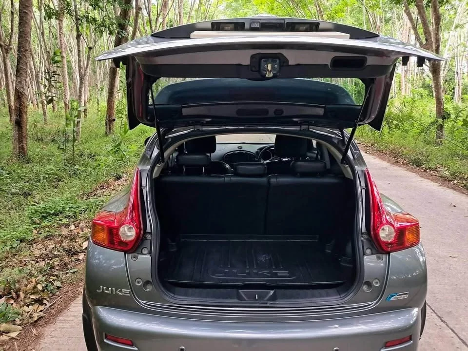 2014 Nissan Juke I (F15) 2