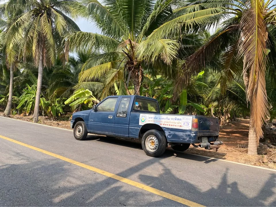 1994 Isuzu TFR III 2