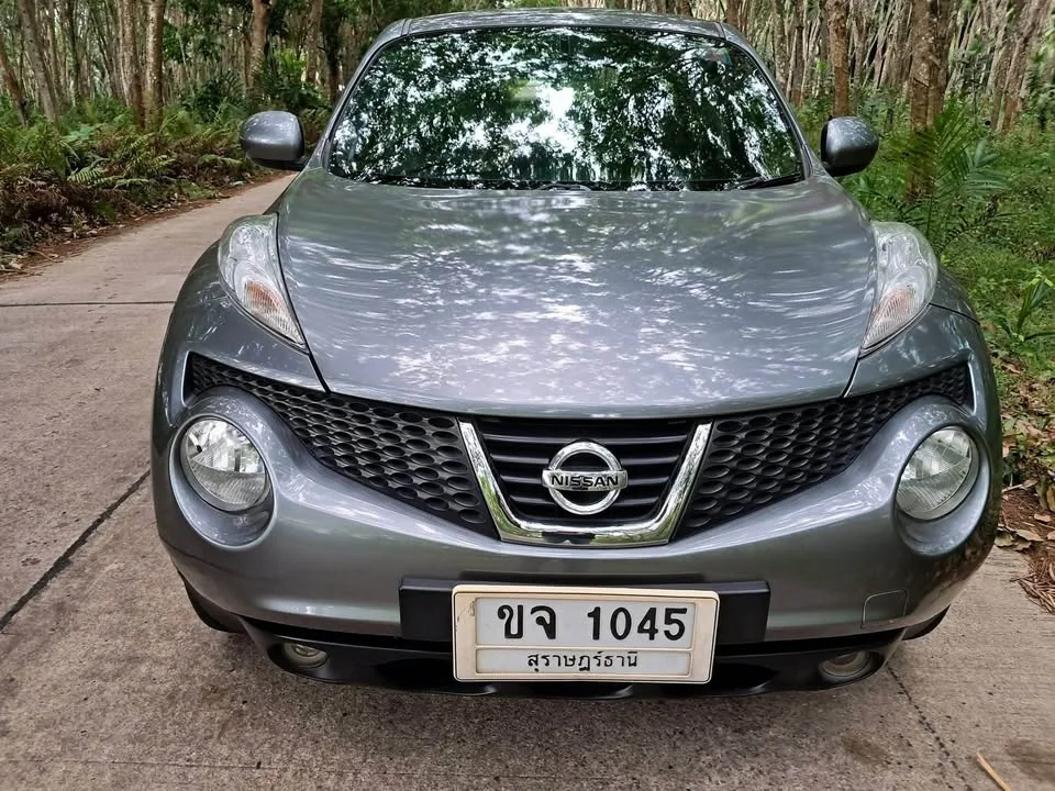 2014 Nissan Juke I (F15) 3